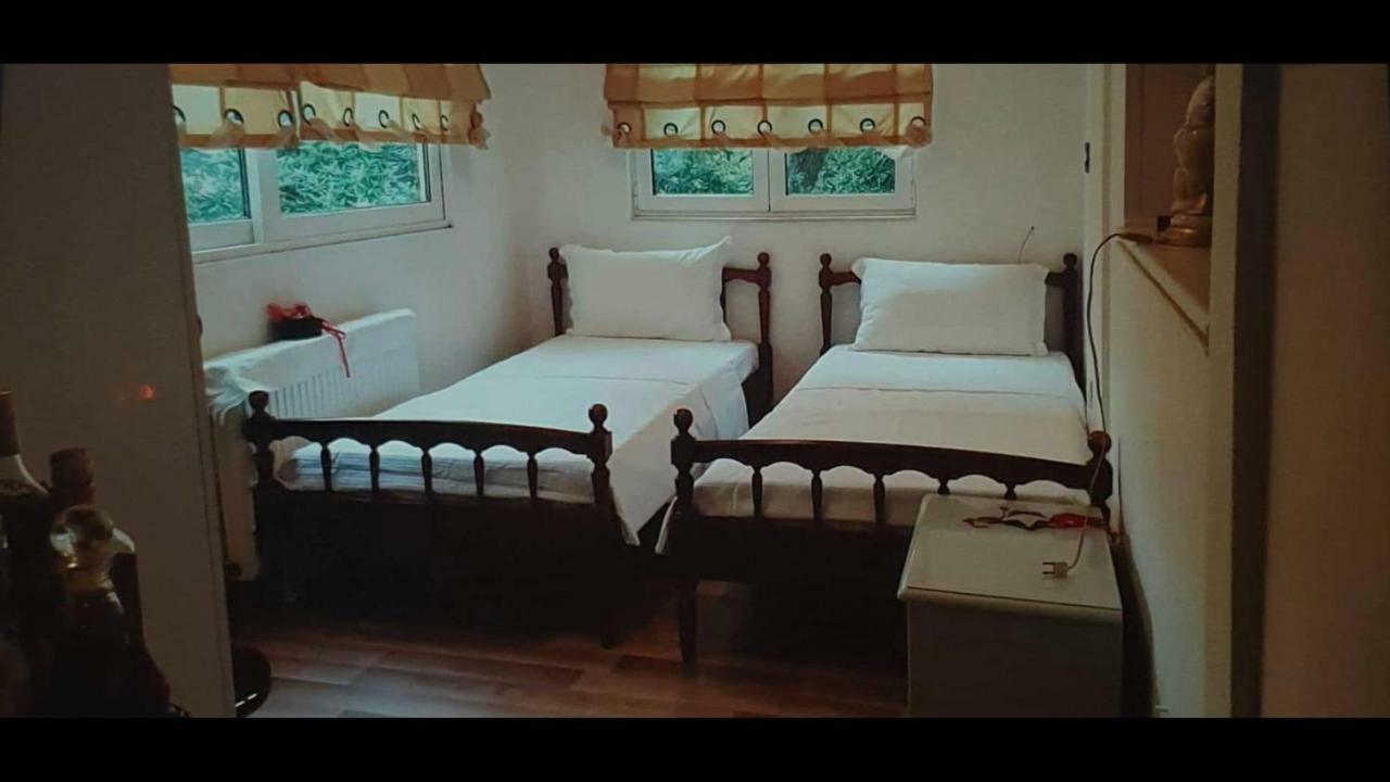Sava's Appartement